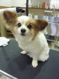 ハッピーちゃん❤