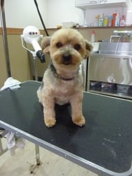 テンテンちゃん❤