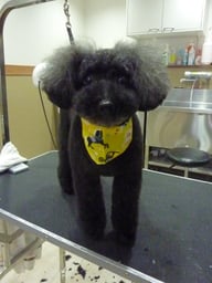 ちょこちゃん❤