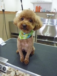 ムックちゃん❤