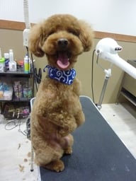 くうたろうちゃん☆