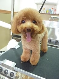 かえでちゃん❤