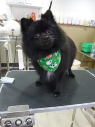 くまごろうちゃん❤