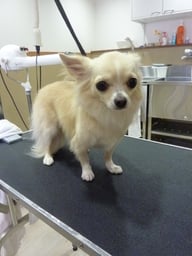 ミントちゃん❤