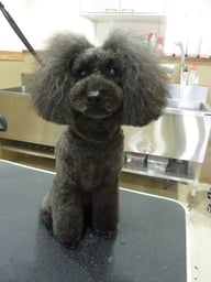 ミントちゃん❤