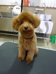 ライクちゃん❤