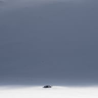 photography winter snow Sarek Spami