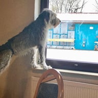 Foto U. Blaschke-Berthold