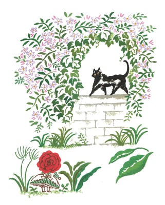 曇り空のある日のこと