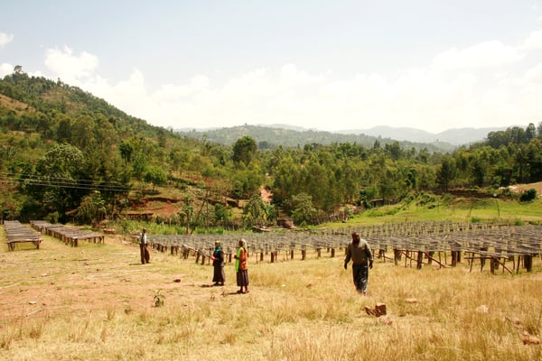 Trockenbetten der Mühle bei Shilcho
