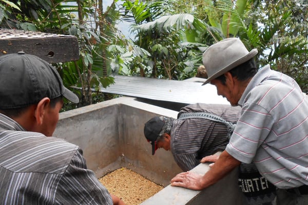 Check Fermentation bei Vicente