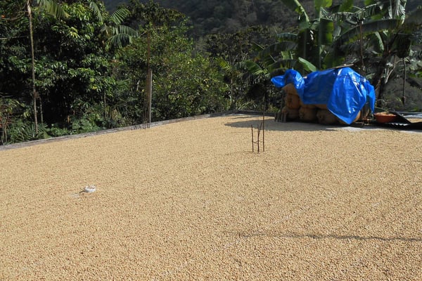 Rufinos Patio mit Parchment