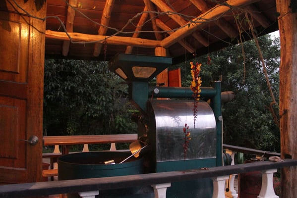 Röster auf einer Terasse in Mindo