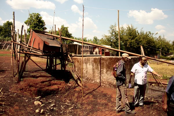Das Fruchtfleisch wird gesammelt und zum Düngen genutzt