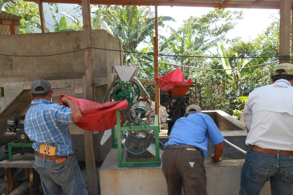 Nassbeneficio Ovidio