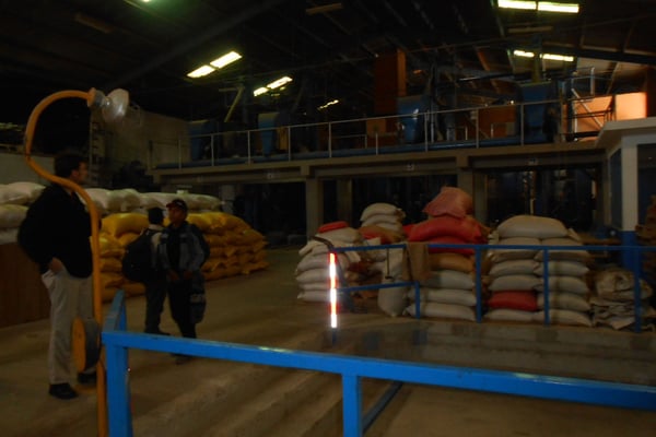 St. Isabel von innen