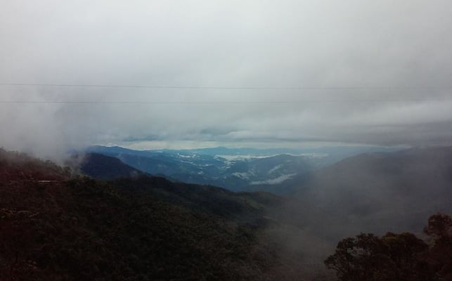 Nebelwald - Fahrt nach Zumba