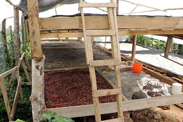 Trockenbett mit Naturals