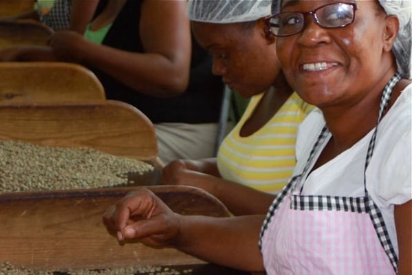 Arbeiterinnen bei der manuellen Sortierung
