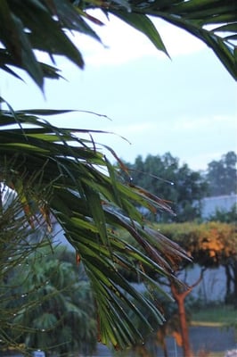 Tropenregen beobachtet aus dem Hotelzimmer