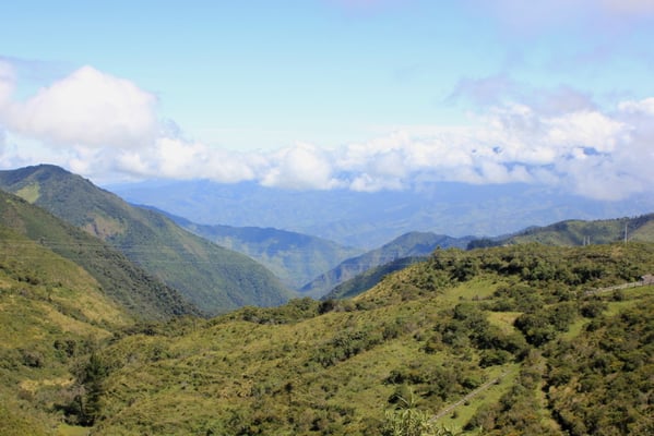 Nebelwald bei gutem Wetter (selten!)
