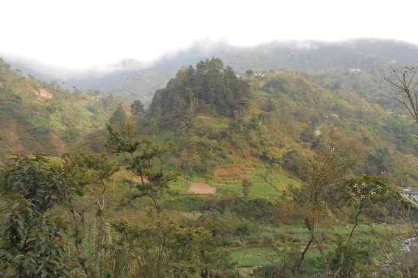 Blick Cuenca del Naranjo
