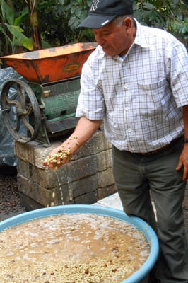 Luis und Kaffee im Wasser