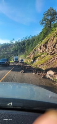 Im Reizverschlussprinzip über Steine auf dem Weg zum Flughafen