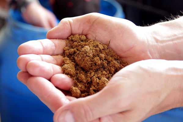 Mikroorganismen für die Herstellung ökologischen Düngers