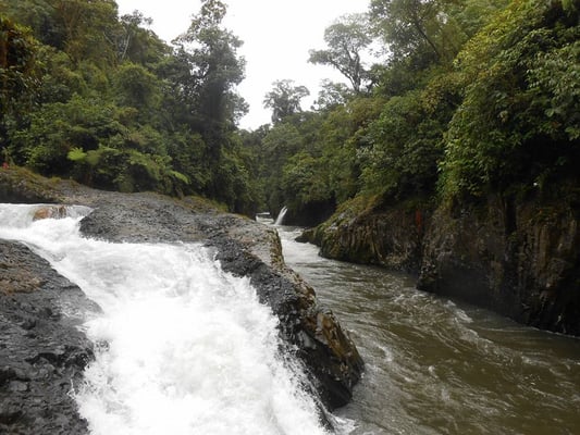 "Zuhause der Florellen"