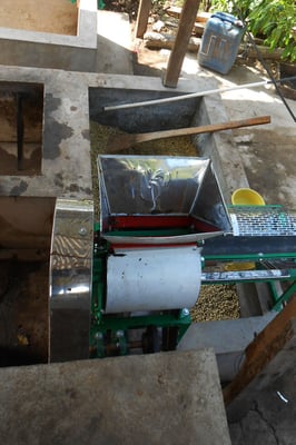 Neuer Entpulper! bei Ovidio