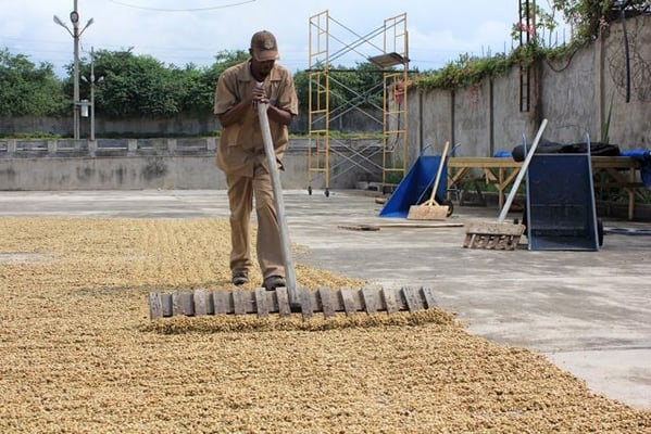 Alle 15 Minuten müssen sie bewegt werden in der Sonne