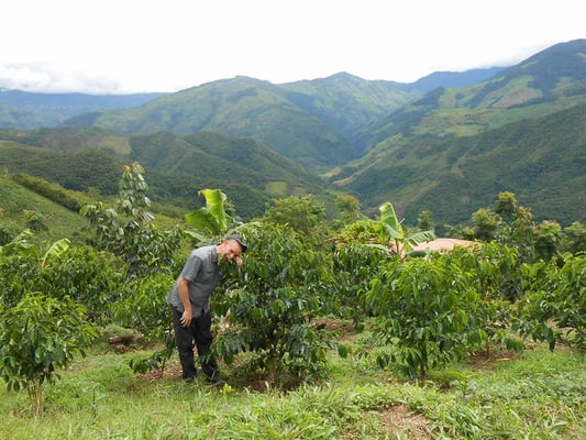 Pingo kuschelt mit Vinicios Geisha
