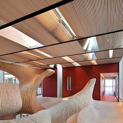 Omicron Campus, Klaus