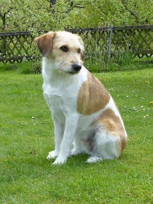 ihr müsst einfach warten...