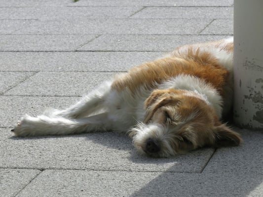 und Faulenzen muss auch sein, so kann man den Geburtstag richtig geniessen!
