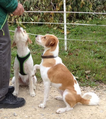wohlverdiente Lekkerlis von Bailas Opa