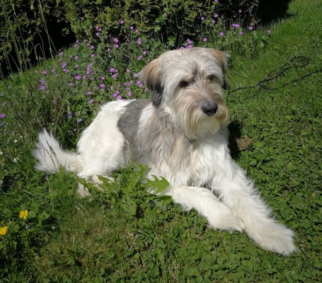 den herrlichen Garten geniessen!