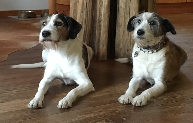 Hier links Enno, der Sohn von Jule