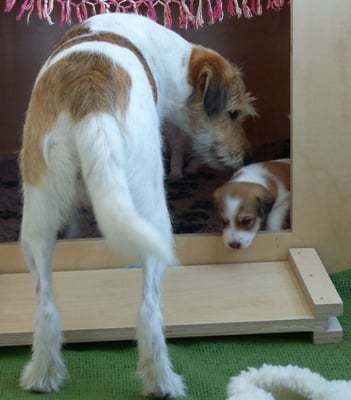 na los... macht schon...