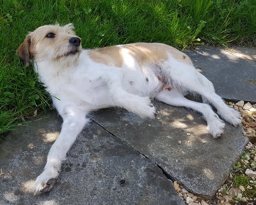 nein... ich kann nicht...