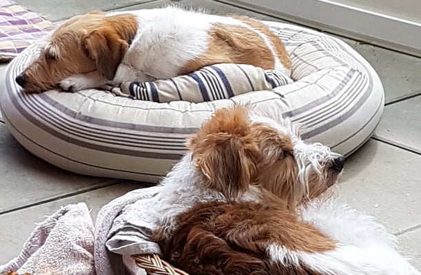 so gehts doch auch...