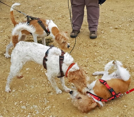 warst Du artig? immer?