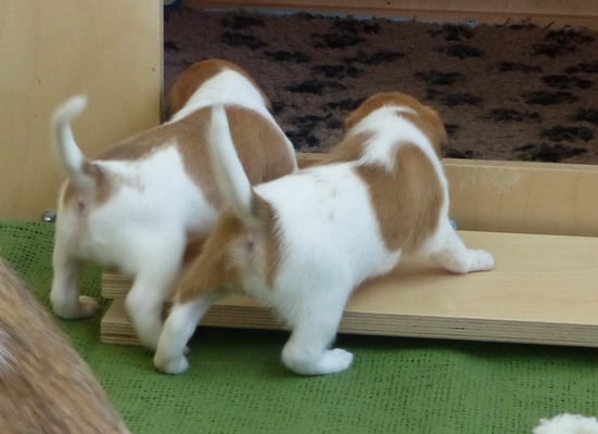 nochmal kurz rein... man weiss ja nie...