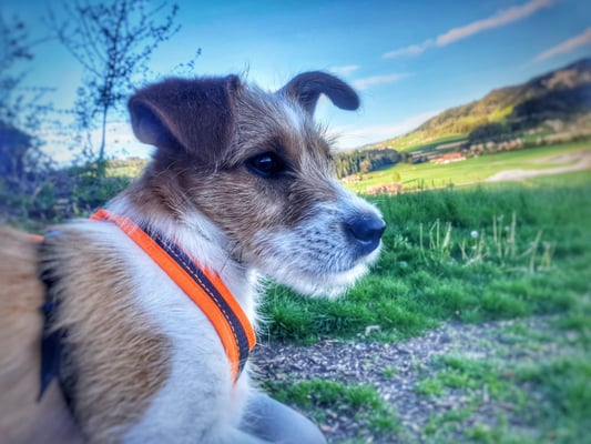 Amélie von der Bijouterie Chlinau