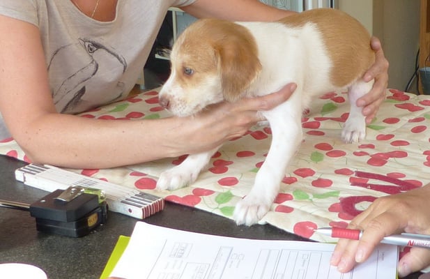 endlich! ich will auch! 