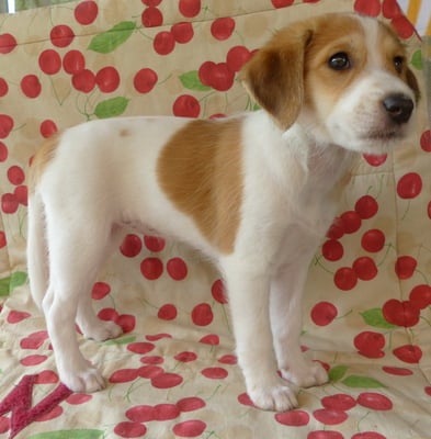 ist das nötig? ich hätte jetzt so schön die Bettschwere...