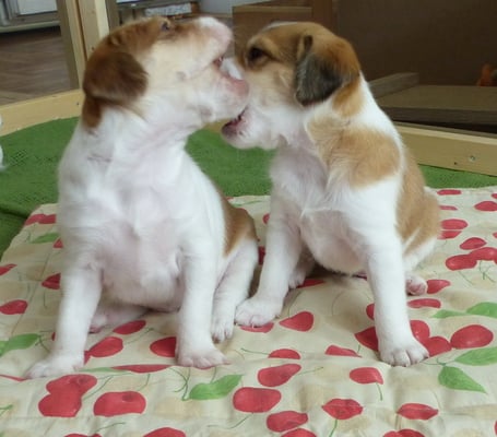 gib Ruhe! ist doch wurst! wir passen da beide drauf!