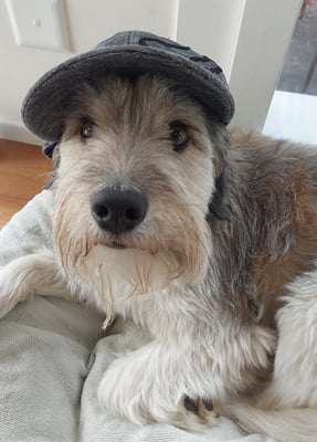 Caruso kann alles tragen!