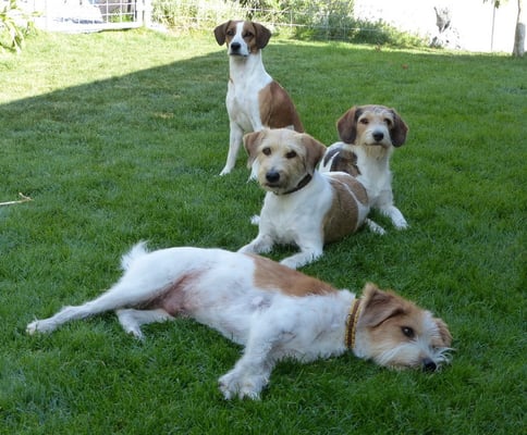 Tuba fand: nö    ich mache nicht mit.. ;-)